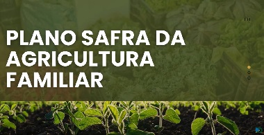 Plano Safra