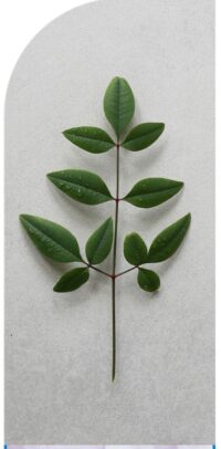 campaign-creators-e6n7uoEnYbA-unsplash copiar 2_compressed